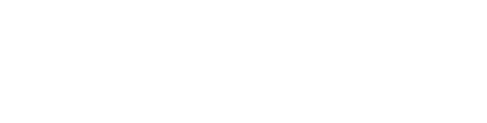 Maestra Academy