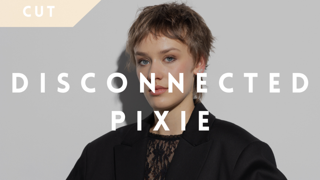 Disconnected Pixie 🇫🇷